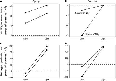 Advection Drives Nitrate Past the Microphytobenthos in Intertidal Sands, Fueling Deeper Denitrification